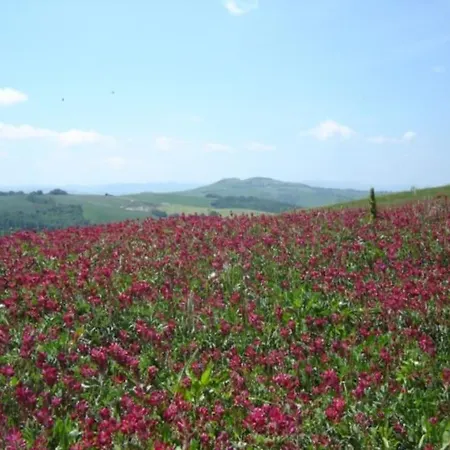 Appartamento Podere Grignano, Beautiful Tuscany *